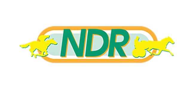 NDR logo
